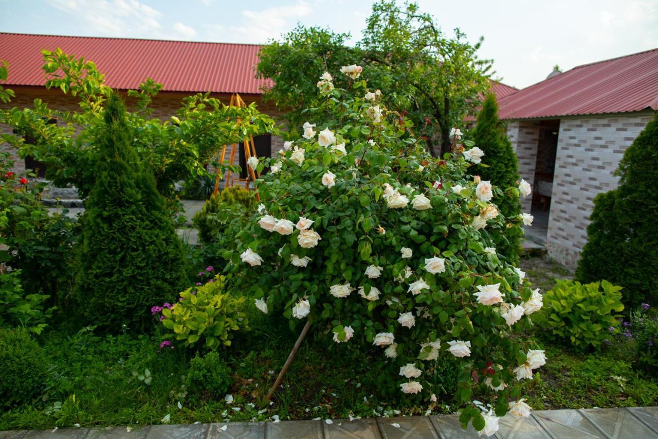 Gostevoy Dom Гостевой Дом Hotel Sheki Exterior photo